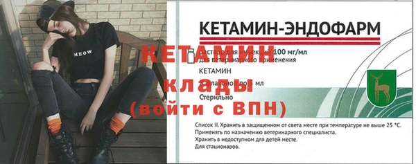 соль ск Каменка