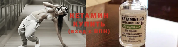 соль ск Каменка