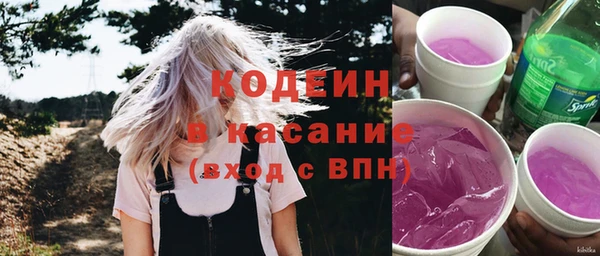 соль ск Каменка