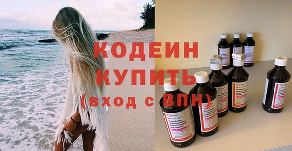 соль ск Каменка