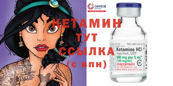 соль ск Каменка